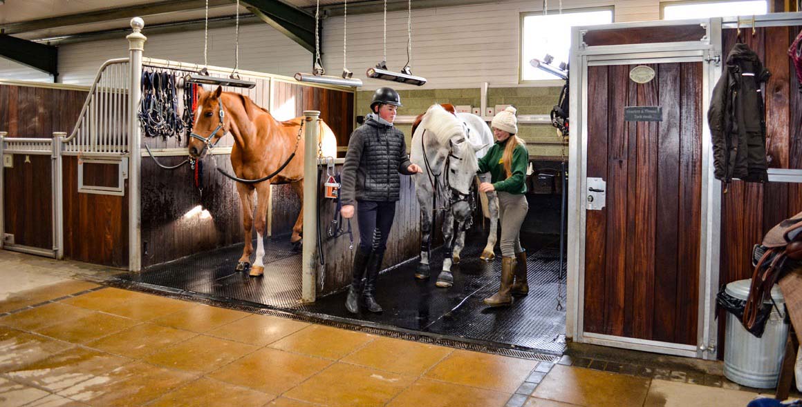 Shadow Horse solariums and Equestrian Heaters